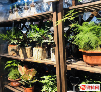 成功转出高新区清水河南路新一中超市发花店