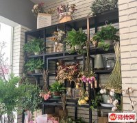 成功转出宣化区皇城大厦一层吉龙超市门口花店