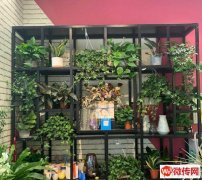 成功转出宣化区皇城大厦一层吉龙超市门口花店