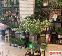 成功转出宣化区皇城大厦一层吉龙超市门口花店