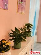 成功为丽景福苑精装修养生馆招到合租养生