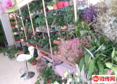 成功转出固安县中鼎凤凰城北门花店