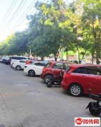 成功转出衡水学院旁韩国炸鸡店（路口拐角临信誉楼）