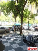 成功转出胜利路问津街交口三中旁威尼造型