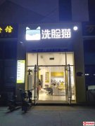 成功转出前进街永安路交口西北角洗脸猫