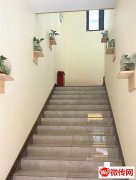 成功转出恒大绿洲商业街养发SPA馆国颐堂