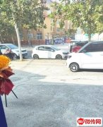 成功转出衡水学院旁纯一层众诚鲜牛羊肉