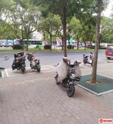 成功转出衡水学院旁饼太蔬菜煎饼