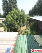 成功出租长安路赵村医院对过带大院商铺