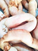 定州特产焖子手掰肠招学员