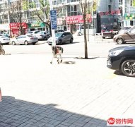 成功转出宝云街宁安路东南角地桌烤肉