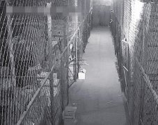 出租京衡大街兴业路口祥悦冷库库位