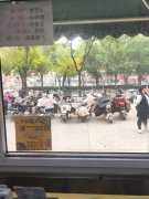 成功出租胜利路清平街德隆超市门旁商铺