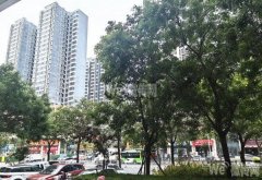 成功出租金域蓝湾二期氧发堂二楼