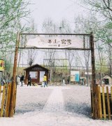 成功转出前进北大街占地十亩半山露营