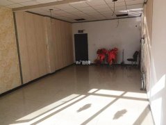 成功出租庆丰街北斗星城六区底商