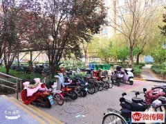 完成盛世桃城二区茶麸养生