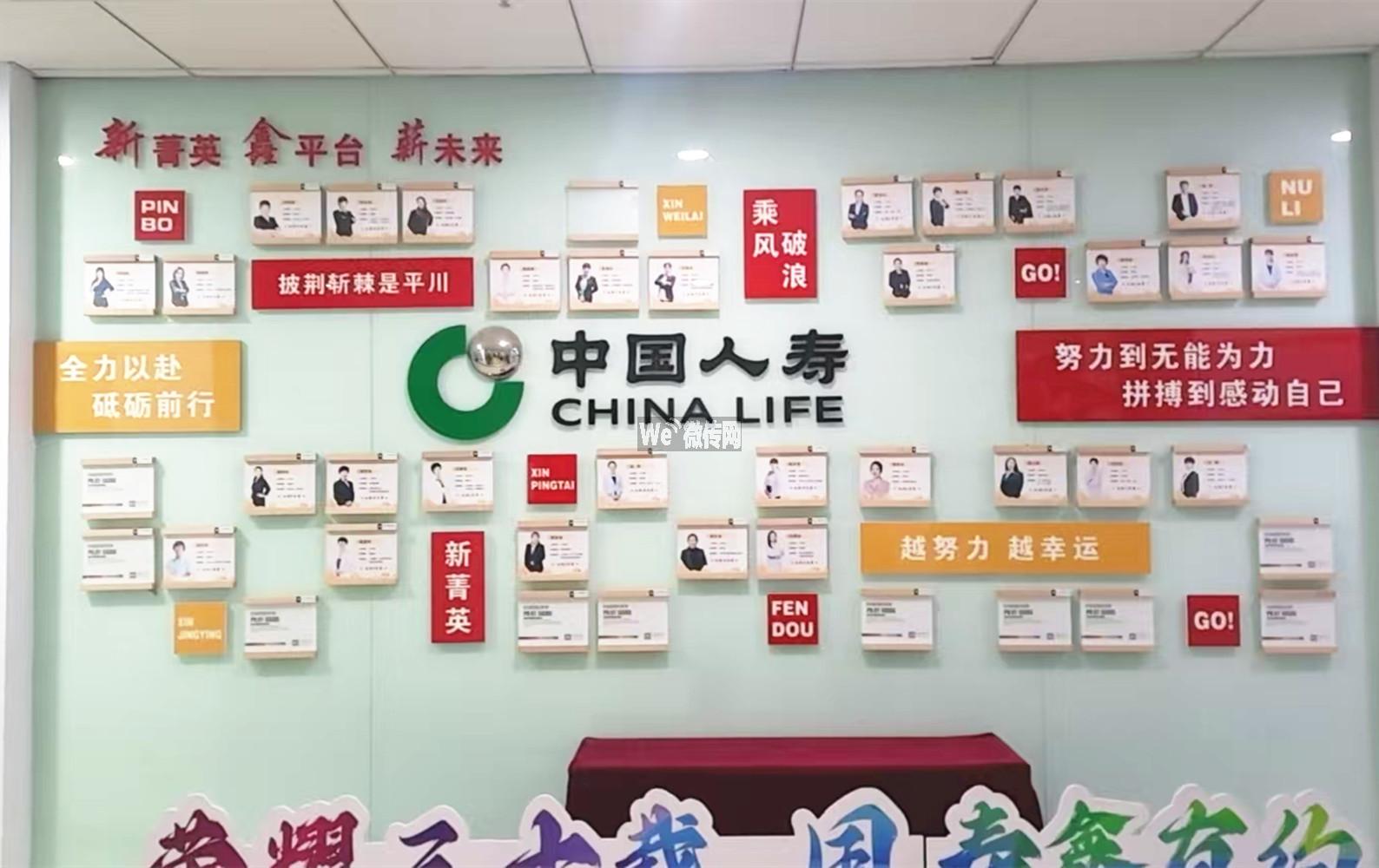 中国人寿衡水分公司招售后保单专员