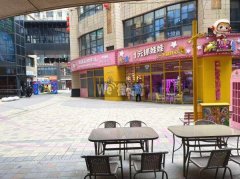 完成汇中广场E座门口降龙爪爪