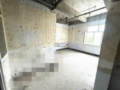 成功出租宝云街人民路独立通道商铺