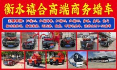 高端商务婚车找衡水禧合包满意