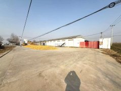 出售枣强县城南郊15亩工业大院