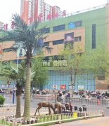 成功出租政通街信誉楼对过商铺