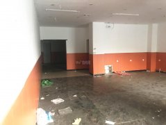 出租中山公园南门对过纯一层商铺