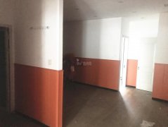 出租中山公园南门对过纯一层商铺