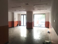 出租中山公园南门对过纯一层商铺