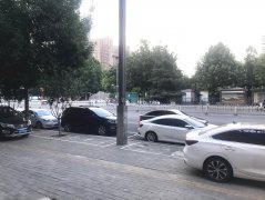 出租中山公园南门对过纯一层商铺
