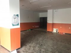 出租中山公园南门对过纯一层商铺