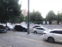 成功出租中山公园南门对过商铺