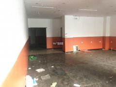 成功出租中山公园南门对过商铺