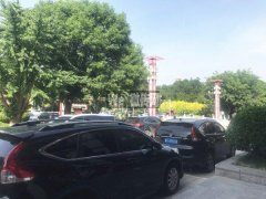 成功出租中山路开元寺大街商铺