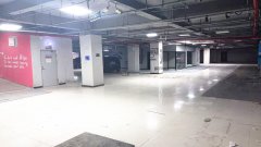 1300平台球厅招合租（行业不限）